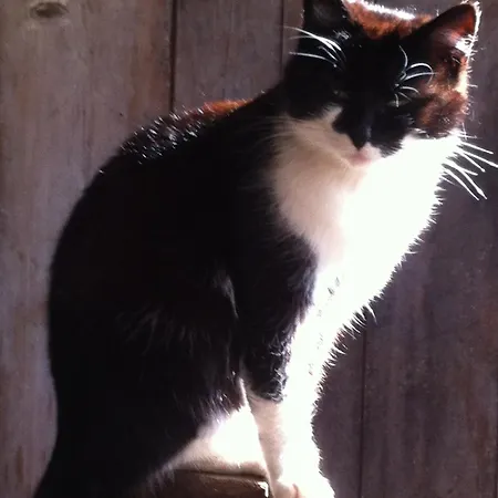 Hinkerhof Lantställe *