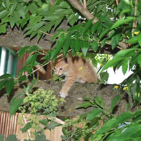 Lantställe Hinkerhof