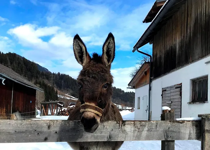 Hinkerhof Schladming